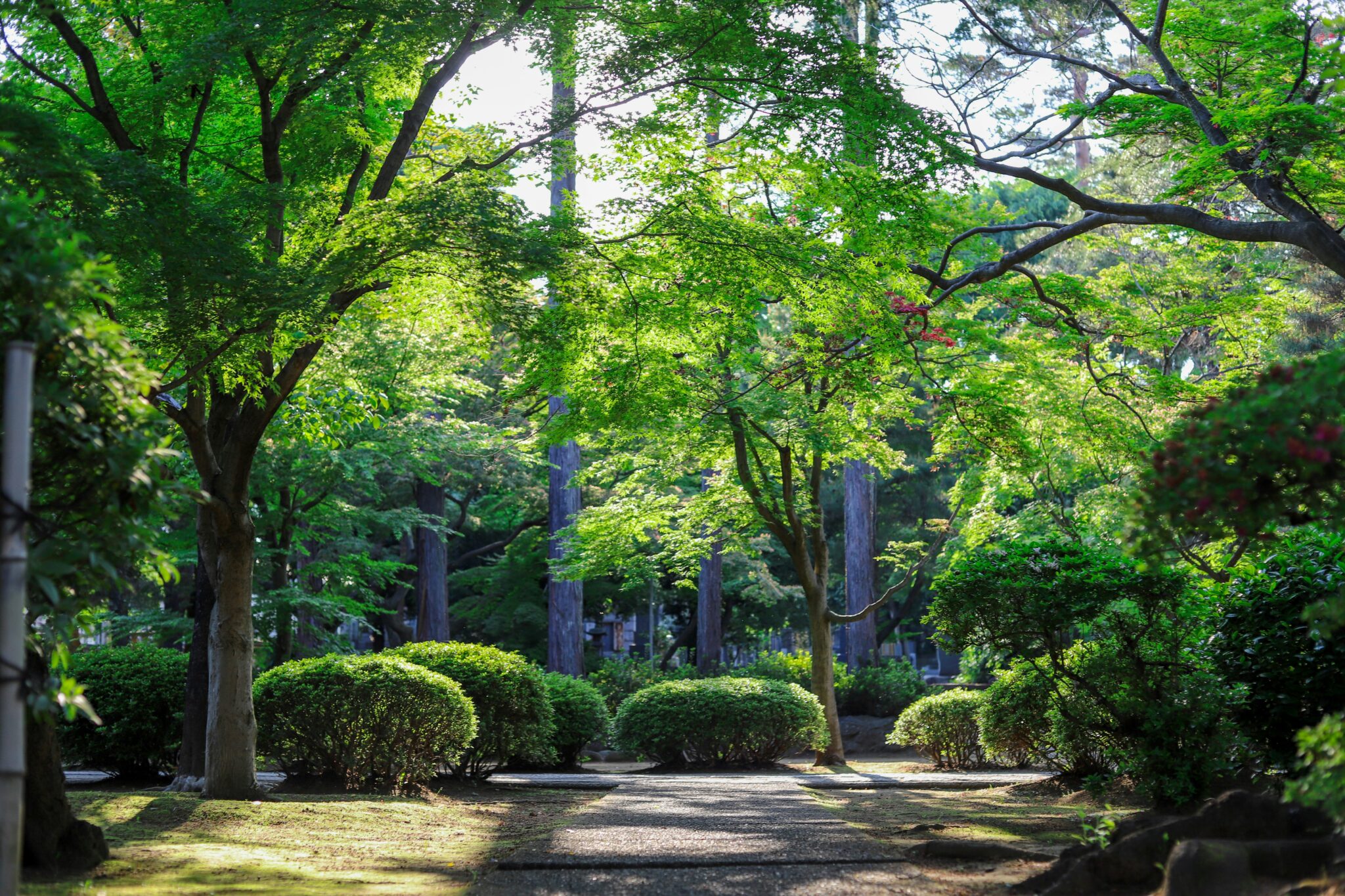 jardin dans le gard